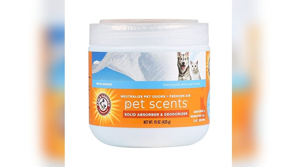 Best Air Freshener for Cat Odor