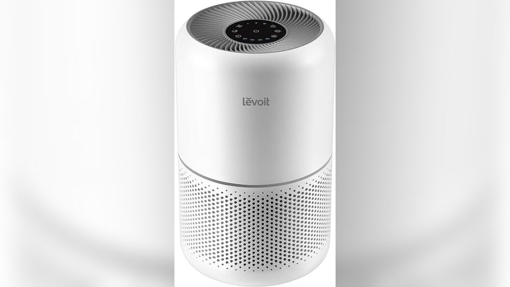 Best Air Purifier for Cat Odor