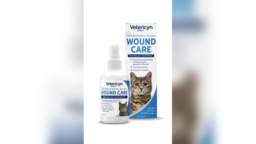 Best Antibiotic for Cat Scratch Cellulitis