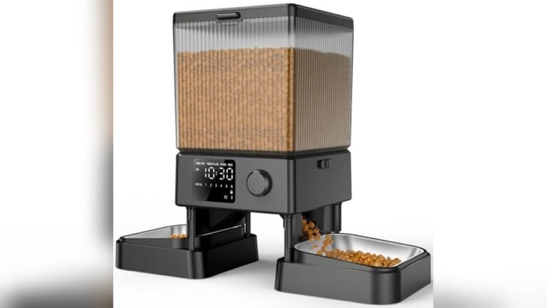 Best Automatic Cat Feeder for 2 Cats