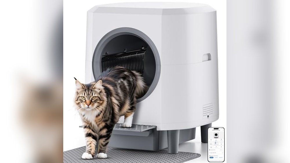 Best Automatic Litter Box for Large Cats