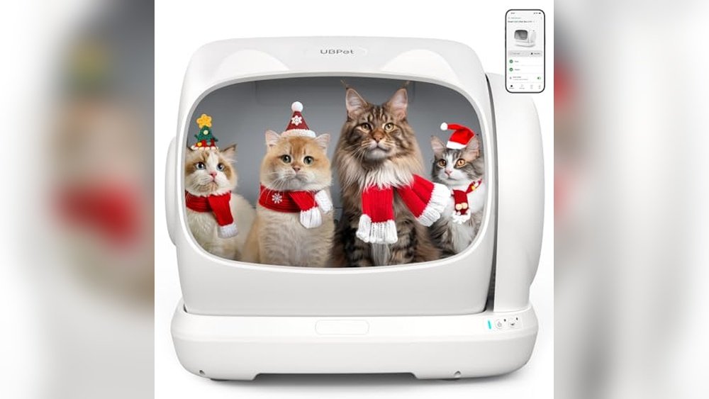 Best Automatic Litter Box for Maine Coon