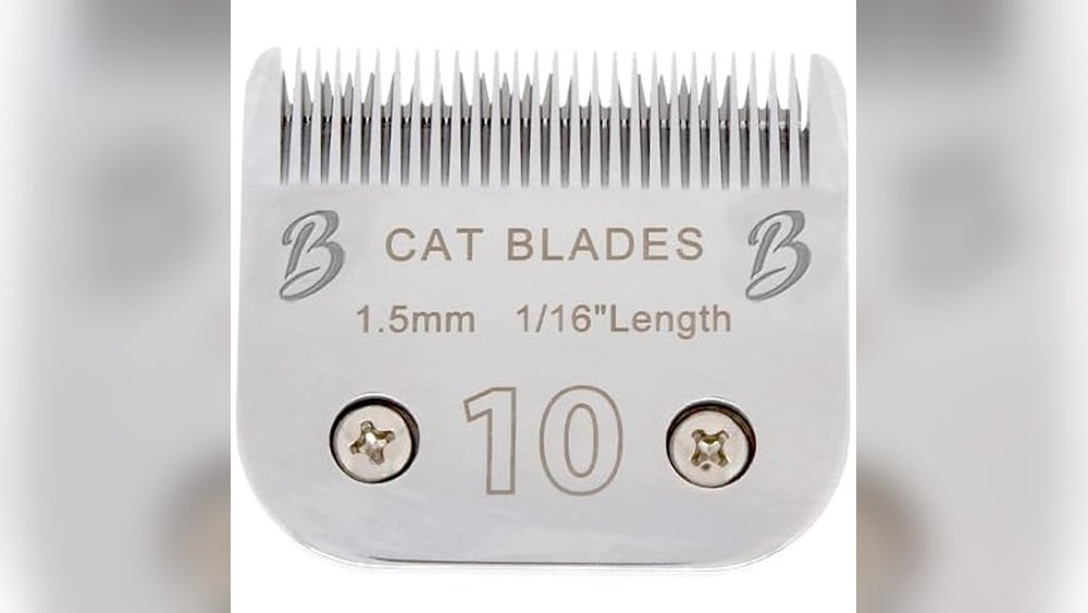 Best Blades for Cats Grooming