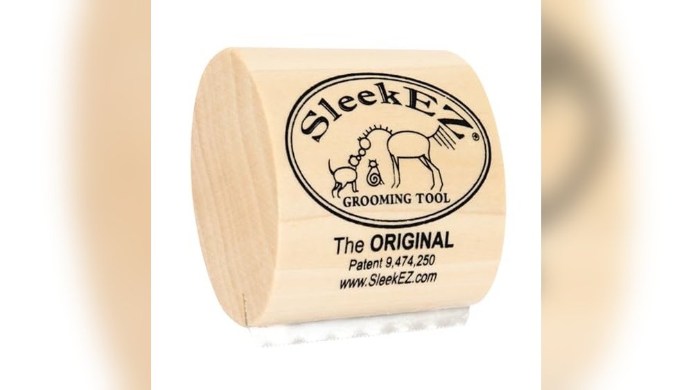 Best Brush for Cat Dandruff