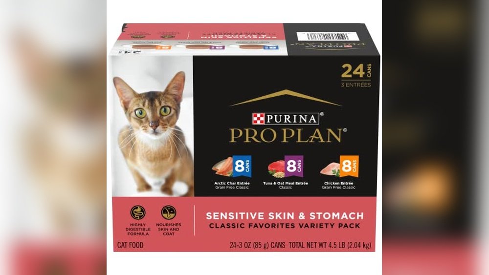 Best Canned Cat Food for Sensitive Stomach