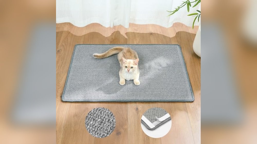 Best Carpet for Cats That Scratch