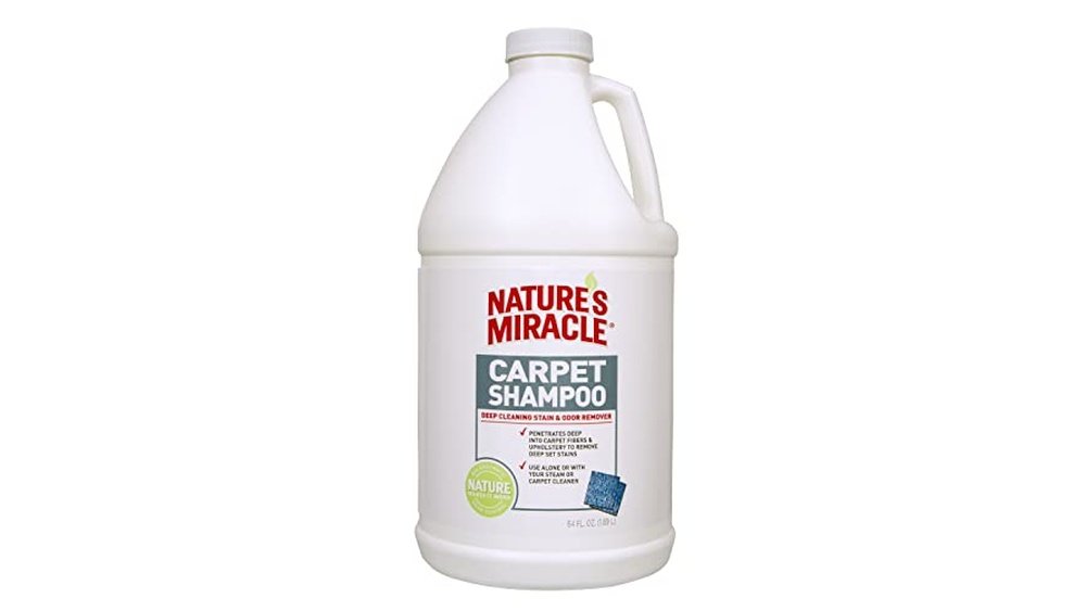 Best Carpet Shampoo for Cat Urine