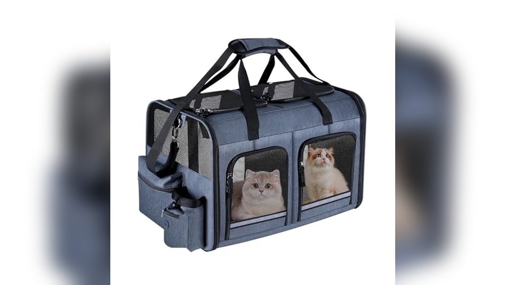 Best Carrier for 2 Cats