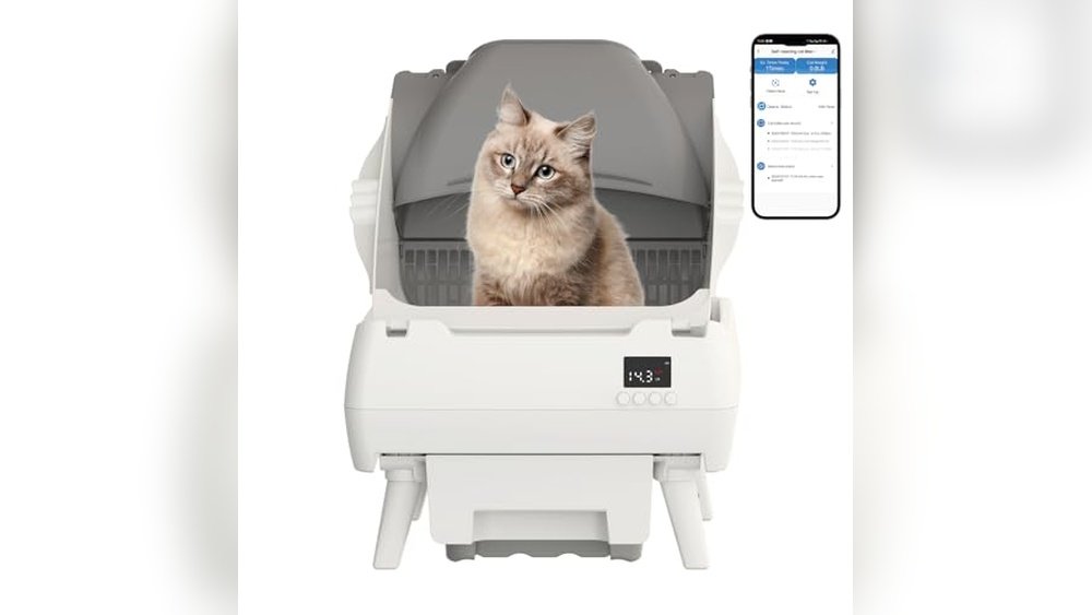 Best Cat Box for Apartment