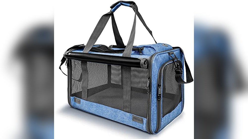 Best Cat Carrier for Large Cat