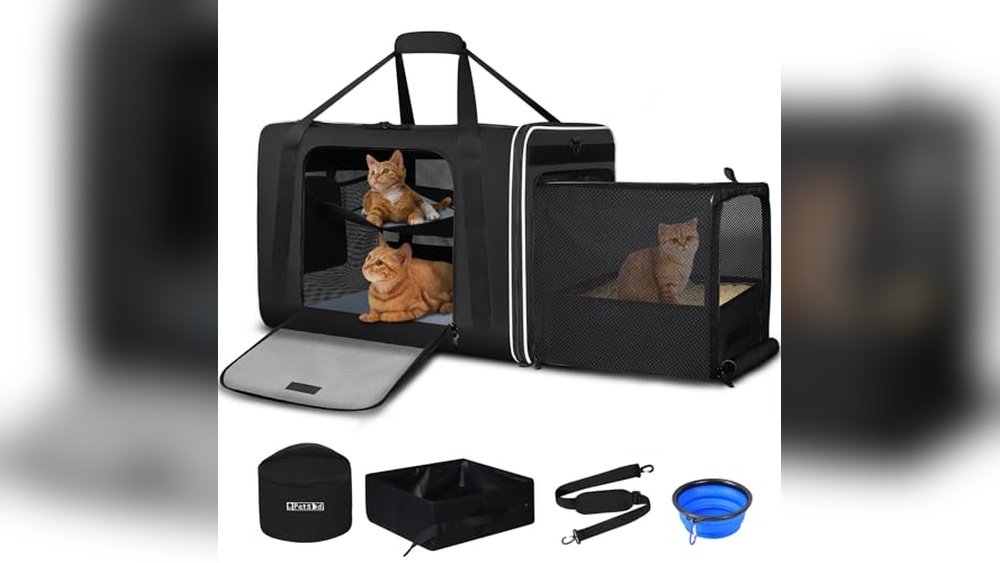 Best Cat Carrier for Long Distance Car Travel​