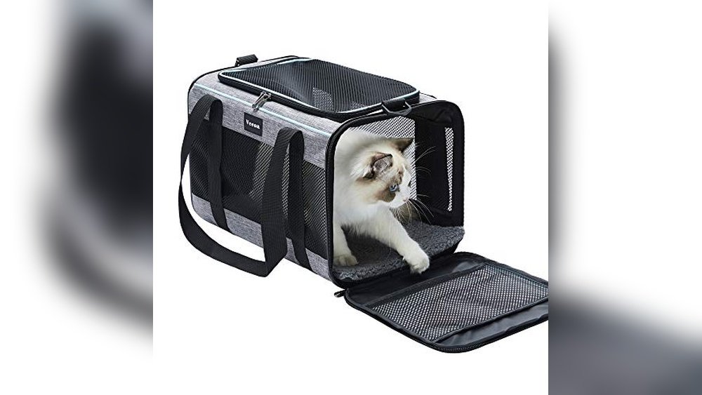 Best Cat Carriers for Anxious Cats