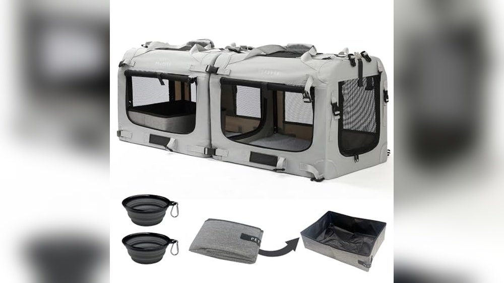 Best Cat Carriers for Long Road Trips