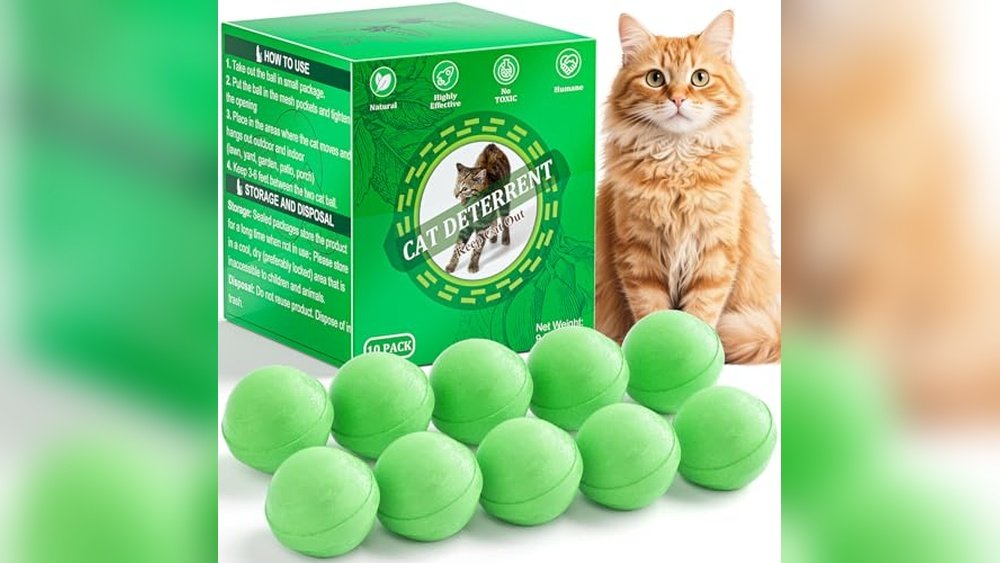 Best Cat Deterrent for Yard