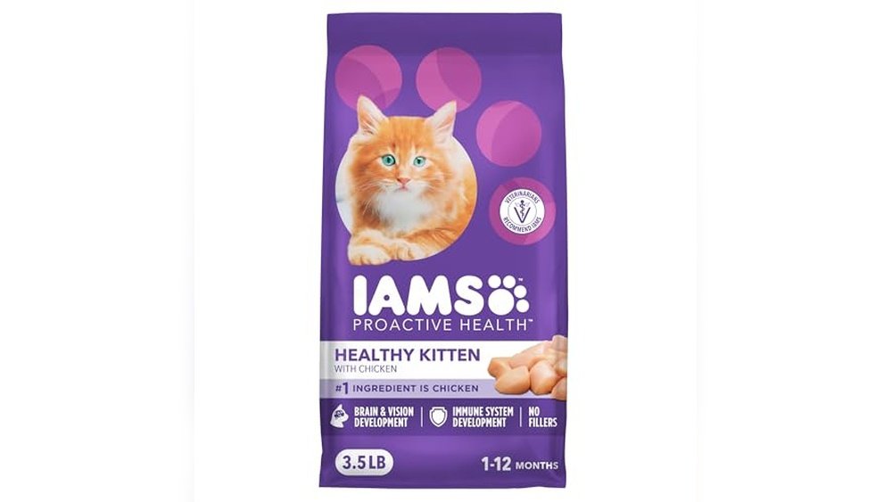 Best Cat Food for 6 Month Old Kitten