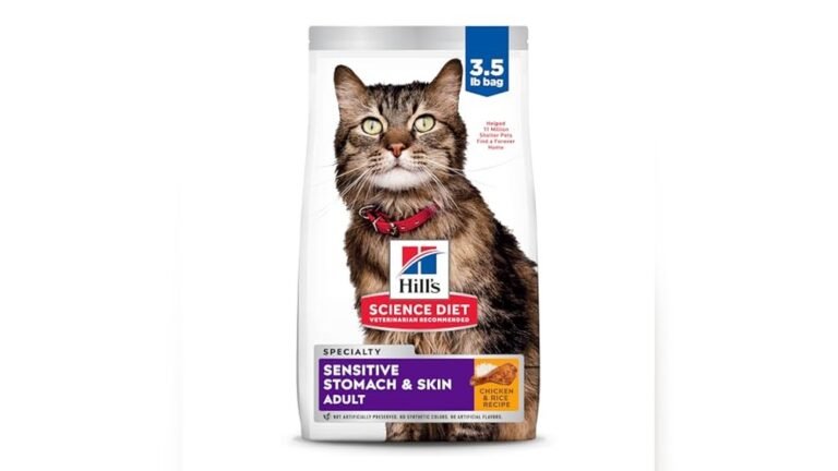 Best Cat Food for a Cat With a Sensitive Stomach