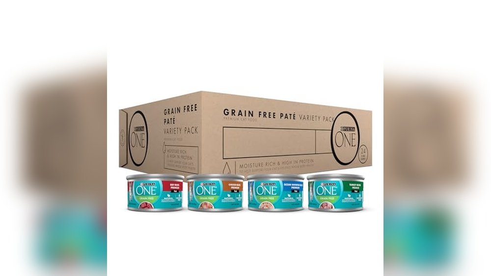 Best Cat Food for a Diabetic Cat