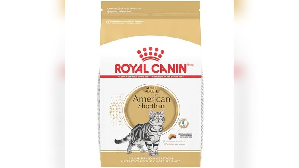 Best Cat Food for American Shorthair