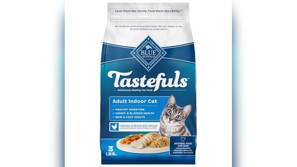 Best Cat Food for an Indoor Cat