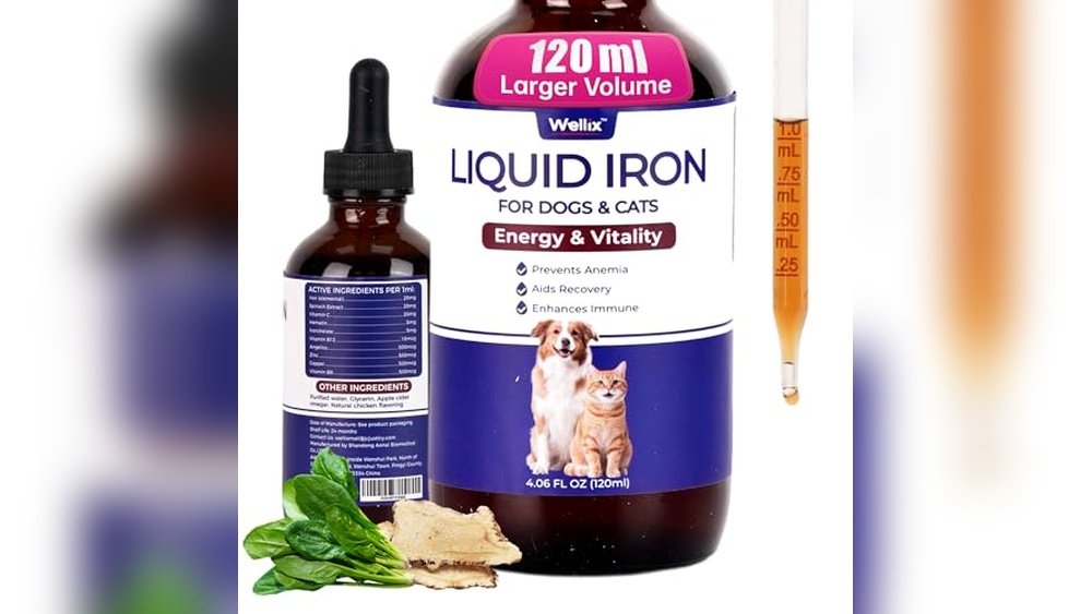 Best Cat Food for Anemia