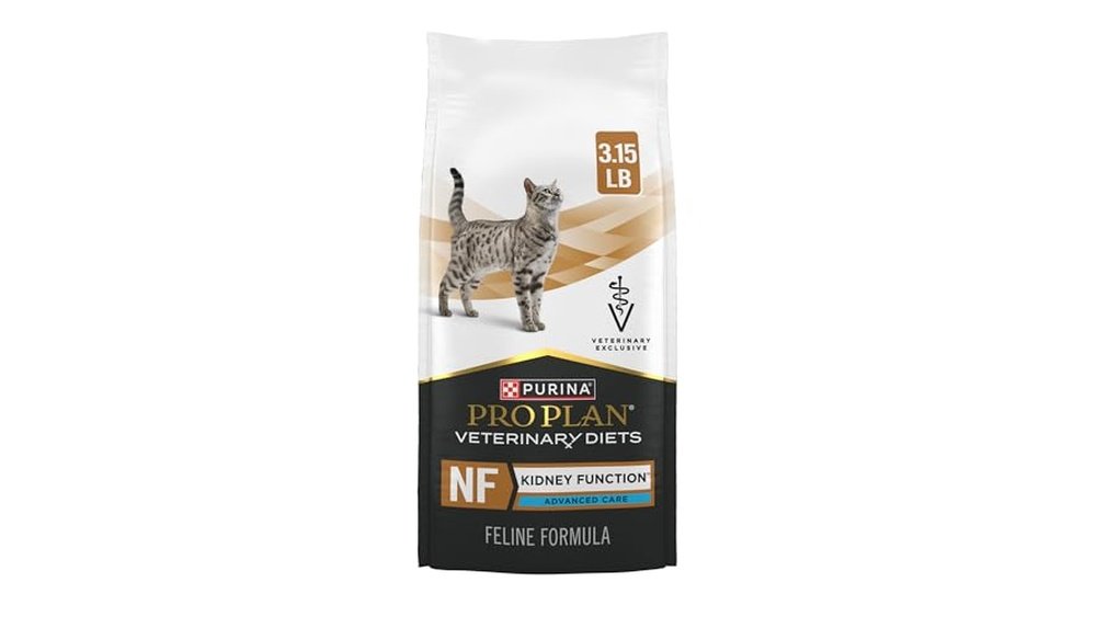 Best Cat Food for Autoimmune Disease