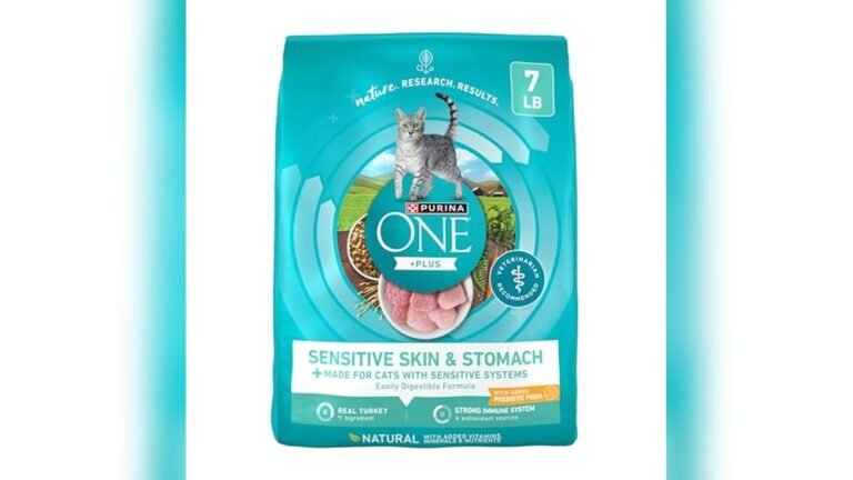 Best Cat Food for Cats With Diarrhea