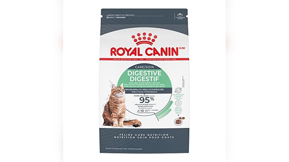 Best Cat Food for Cats With Digestive Problems