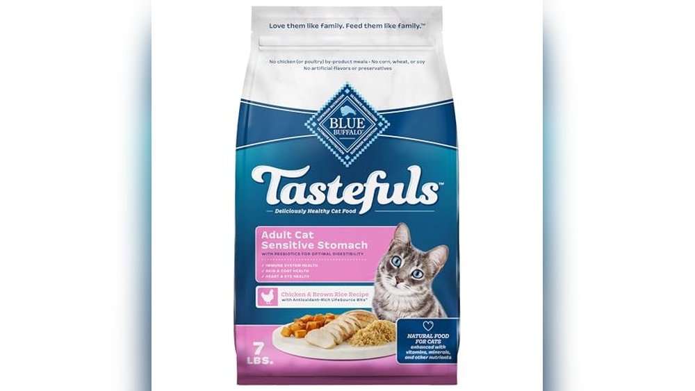 Best Cat Food for Cats With Gas