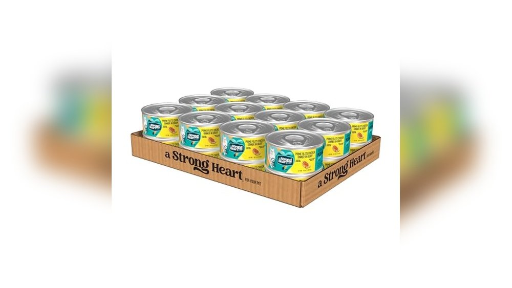 Best Cat Food for Cats With Heart Disease