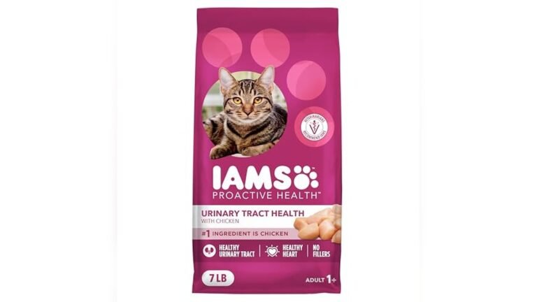 Best Cat Food for Cats With Urinary Problems