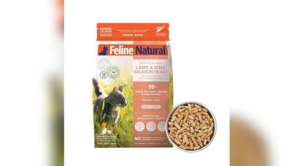 Best Cat Food for Feline Hyperesthesia