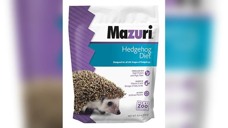 Best Cat Food for Hedgehog