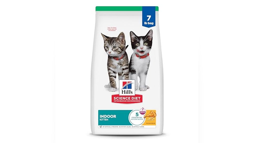 Best Cat Food for Indoor Kittens