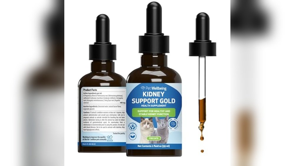 Best Cat Food for Inflammatory Bowel Disease