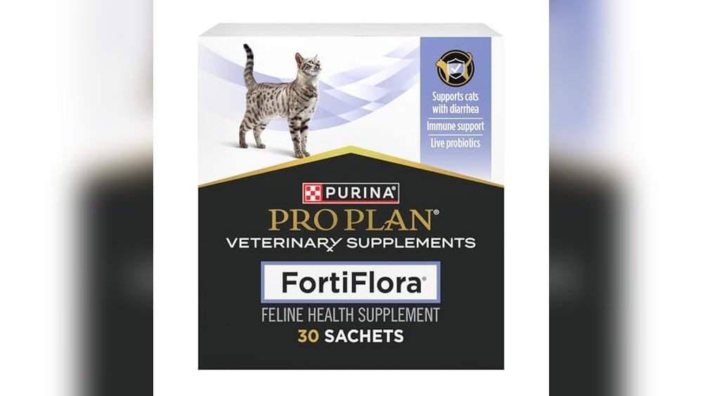 Best Cat Food for Irritable Bowel Syndrome