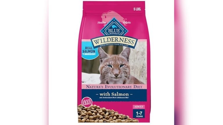 Best Cat Food for Norwegian Forest Cats