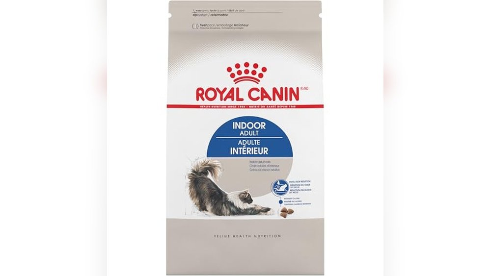 Best Cat Food for Odor Control