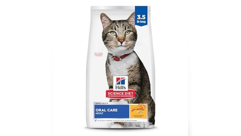Best Cat Food for Older Cats With Bad Teeth