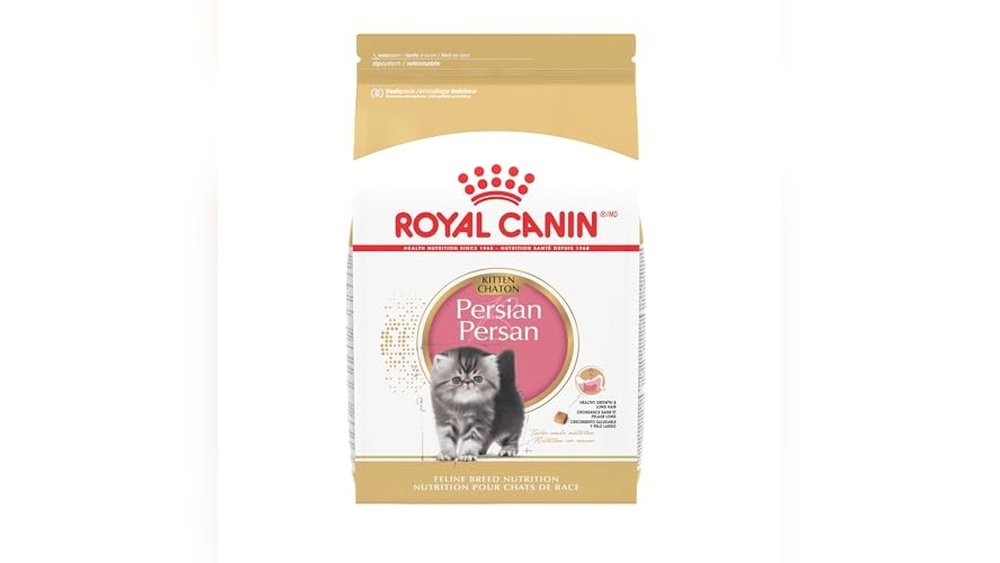 Best Cat Food for Persian Kittens