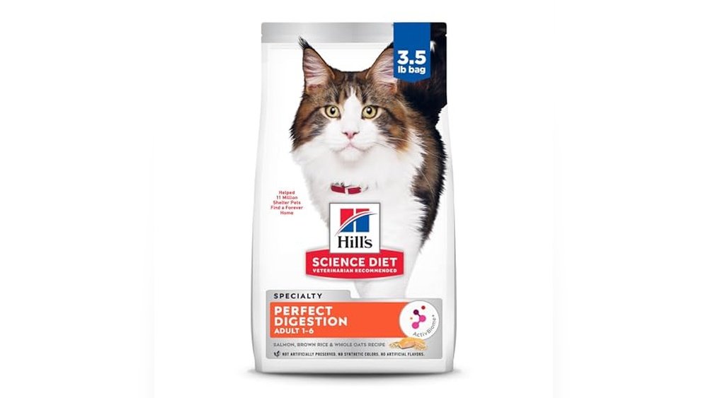 Best Cat Food for Poop Smell