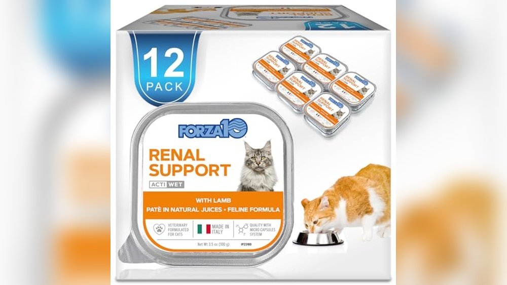 Best Cat Food for Renal Health