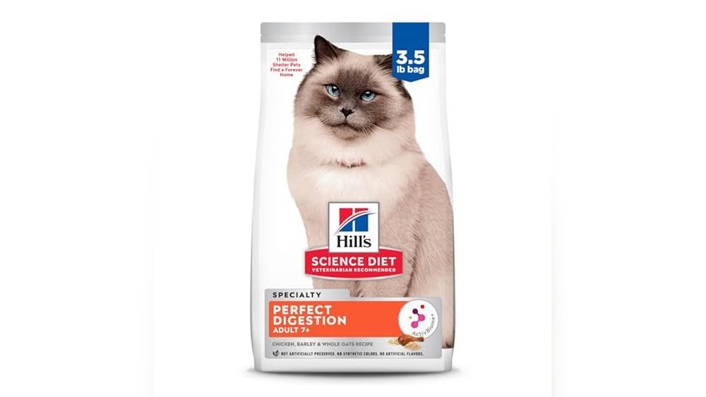 Best Cat Food for Senior Cats With Sensitive Stomachs