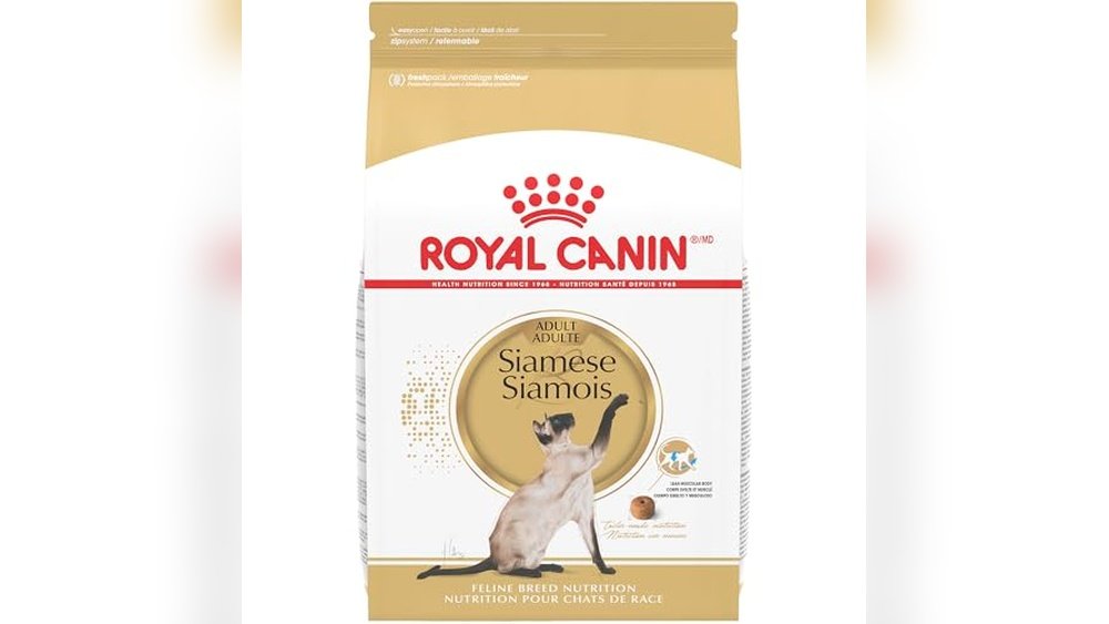 Best Cat Food for Siamese