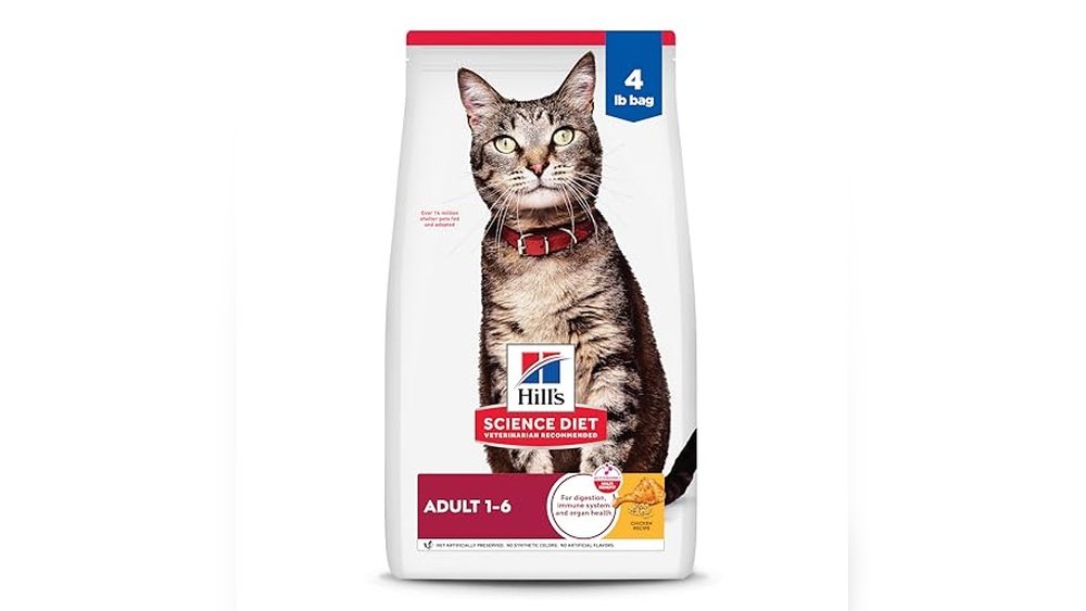 Best Cat Food for Smelly Poop