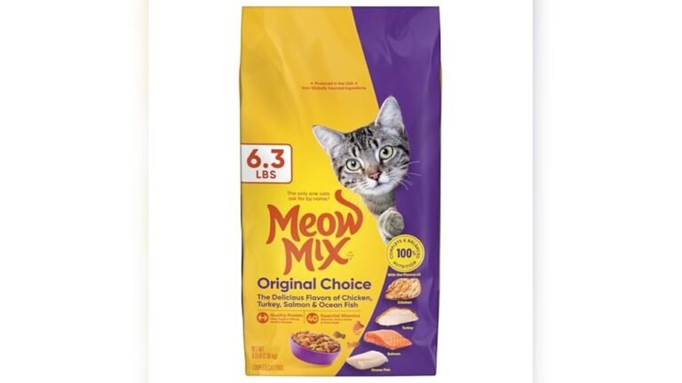 Best Cat Food for Stray Cats