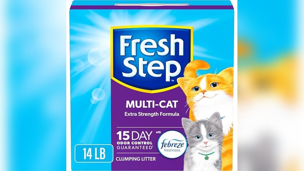 Best Cat Litter for Cats That Pee a Lot