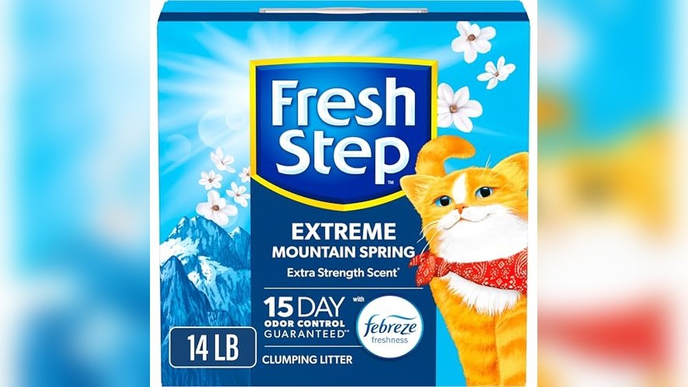 Best Cat Litter for Indoor Cats