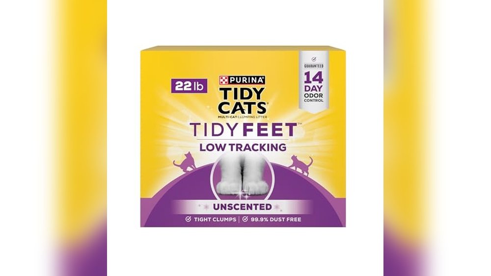 Best Cat Litter for Not Tracking