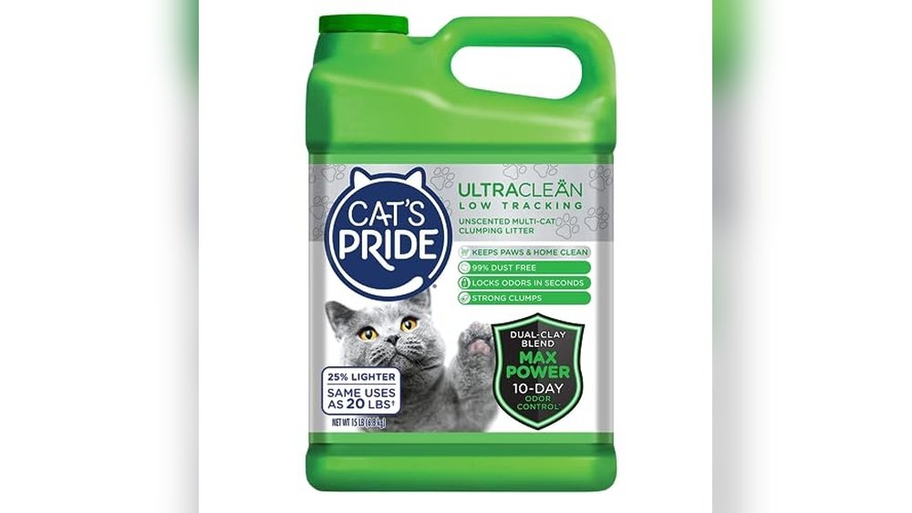 Best Cat Litter for Odor And Tracking