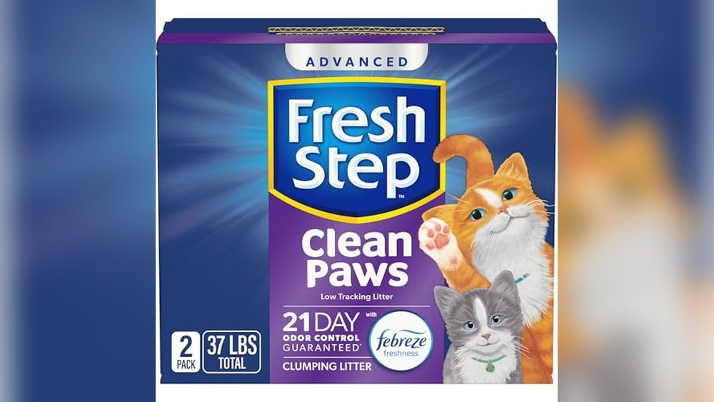 Best Cat Litter for Odor And Tracking
